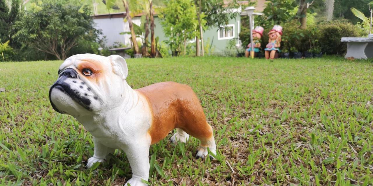 บ้านปลายฝัน Baanplaifun Ban Huai Phai Exterior photo
