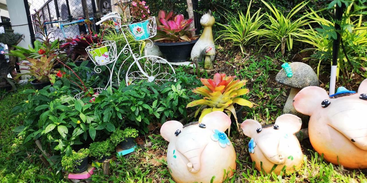 บ้านปลายฝัน Baanplaifun Ban Huai Phai Exterior photo